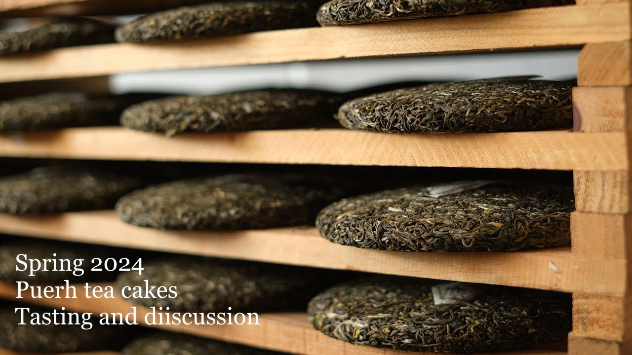 Presentation the Spring 2024 Puerh tea cakes