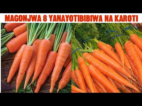 Video: Karoti Na Supu Ya Machungwa