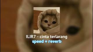 Ilir7 - Cinta Terlarang// speed   reverb