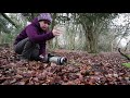 Close up Macro photography in the woods