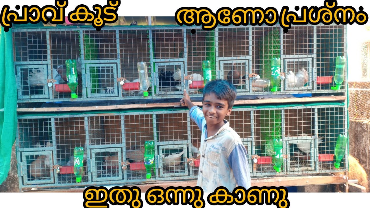 HOW to make pigeon cage in malayalam ( പ്രാവുകളുടെ കുട് ഇങ്ങനെ നി