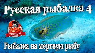 Русская рыбалка 4 Ловим на мертвую рыбу