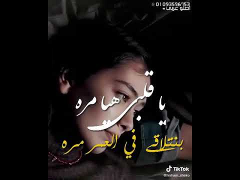 يا قلبي هي مره