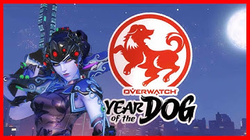 NEW YEAR OF THE DOG EVENT!! CTF COMPETITIVE PLACEMENT MATCHES!!