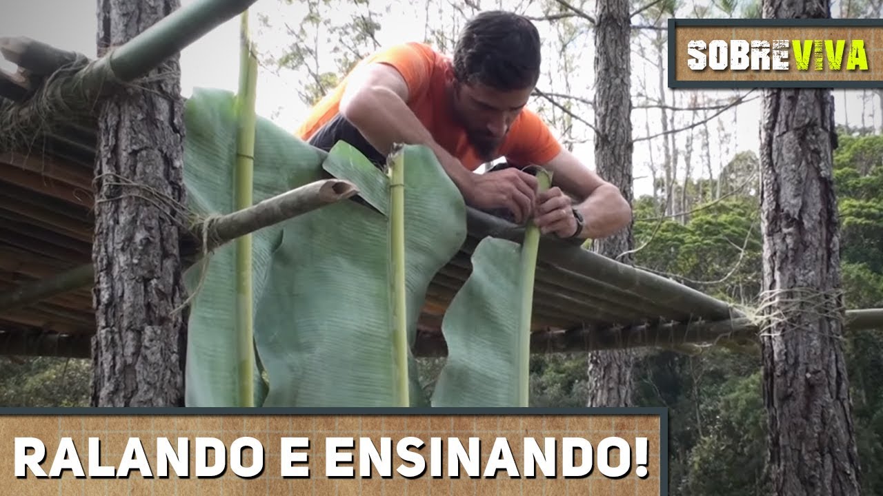 Construindo uma oficina de abrigos para alunos! - Sobreviva Ep.06 - YouTube