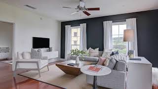 Apartments For Rent Arrive Eilan