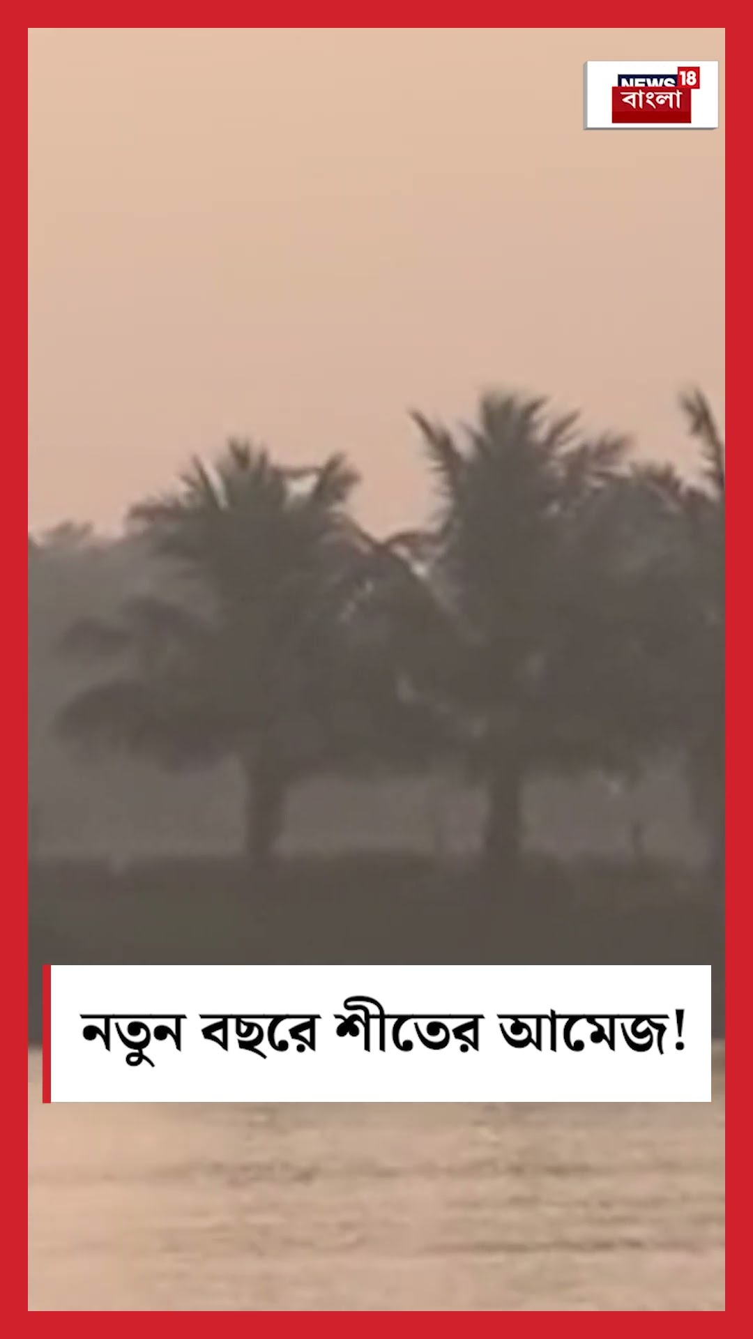 New Year এ শীতের আমেজ! #shorts