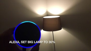 Siri & Alexa - IoT Smart Home Automations