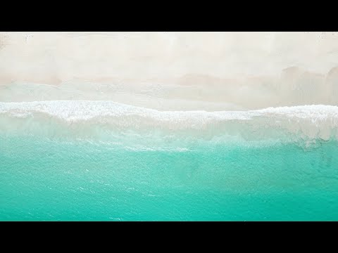 Video: Plagele din Culebra, Puerto Rico