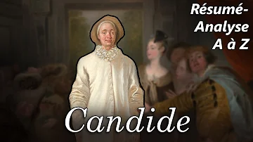 Quel est le ton de Voltaire dans Candide ?