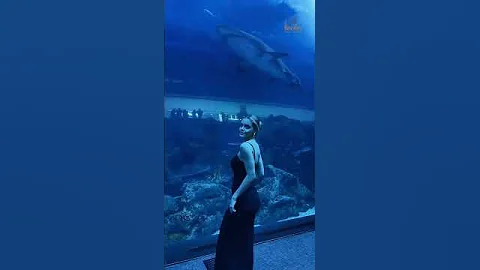 First Time in Dubai 🥘 Travel Vlog by Emma Watson Ai #dubai #dubailife #dubaicity #dubaivlog #aiart