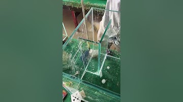 Tank double overflow water assembly process- Good tools and machinery make work easy