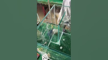 Tank double overflow water assembly process- Good tools and machinery make work easy