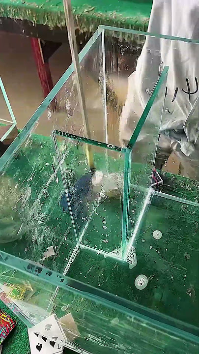 Tank double overflow water assembly process- Good tools and machinery make work easy