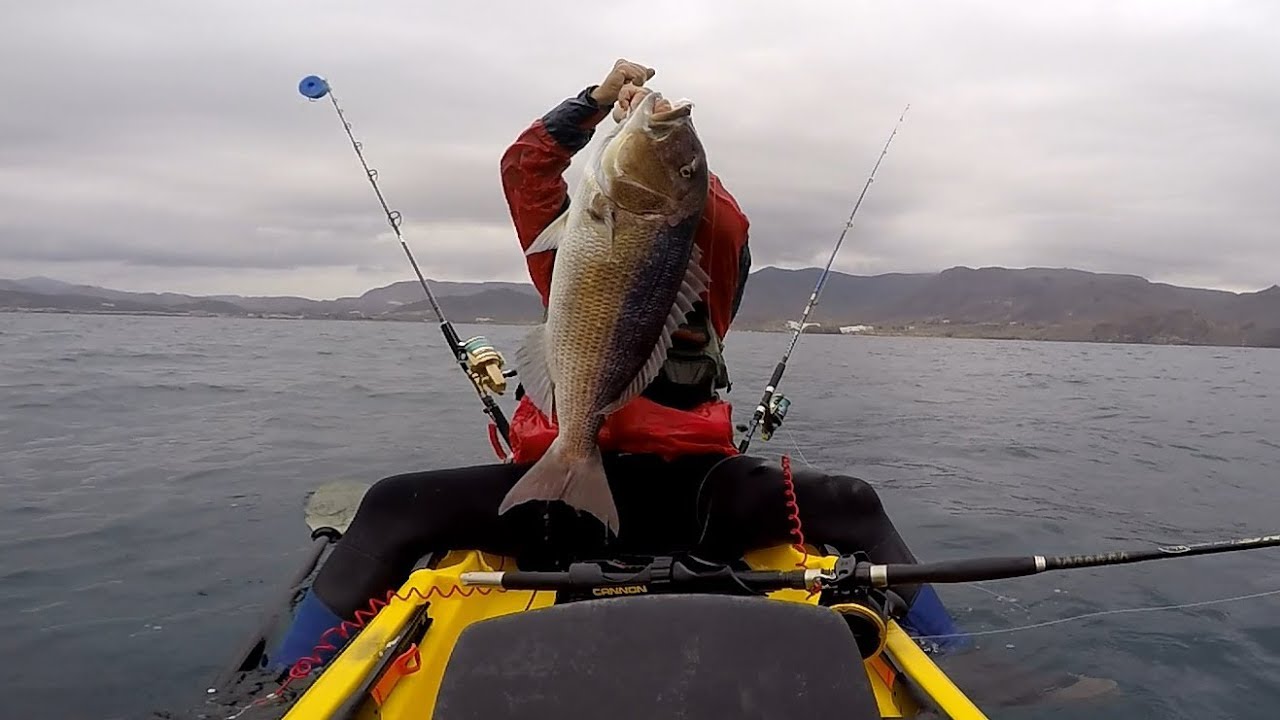 Doblete Dentones XXL dentón dentex Pesca en kayak YouTube
