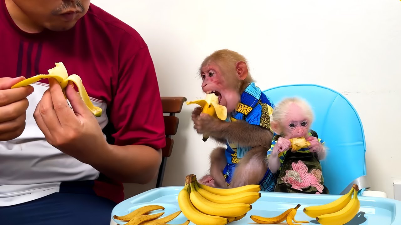 So Worried! Bibi and Baby Monkey Get Ready to Go to the Hospital 🏥🐵💖