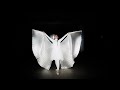 O Carpinteiro (Alessandro Vilas Boas) Coreografia Véu Wings