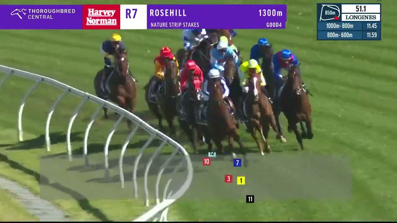 Nature Strip Stakes - Private Eye (Group 1 - 2022)