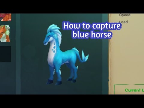 Video: Hur Man Firar året Med Blue Horse