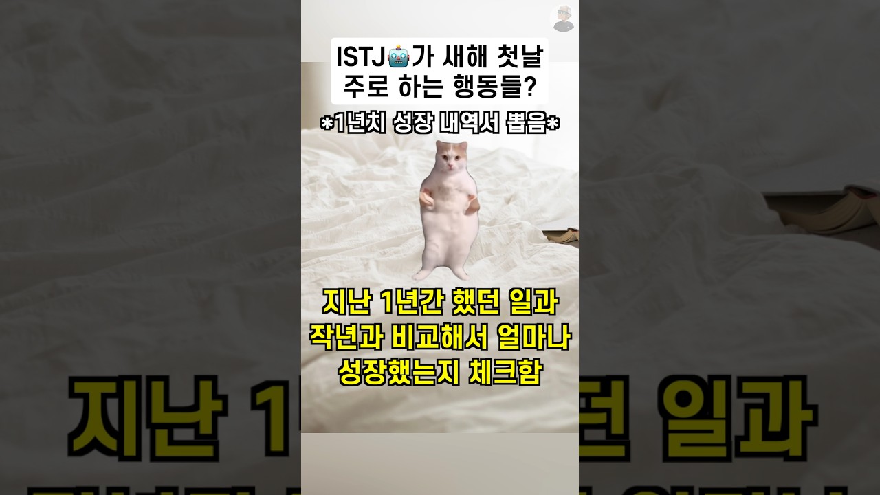 ISTJ🤖가 새해 첫날 주로 하는 행동들? | MBTI 공감 | 잇티제월드