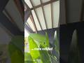 Te has preguntado por qué las remodelaciones las asociamos con el caos!! 🤔