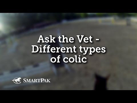 Ask the Vet - Different types of colic