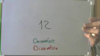 Daily Calendar | December 12th 2016 | 12 de Diciembre 2016 Wealth