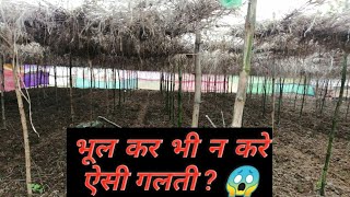 Do not make such mistake while making sheds for multilayer farming