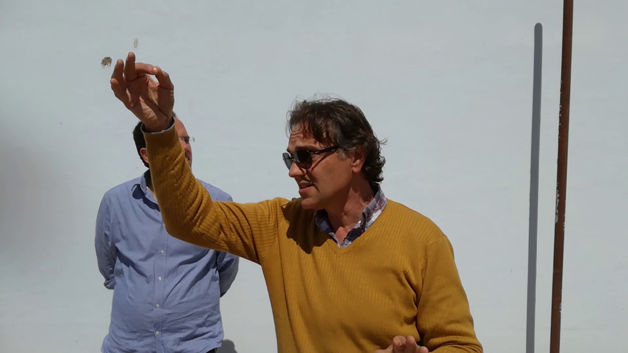 Tony Napoletano inizia la sua lezione storico artistico