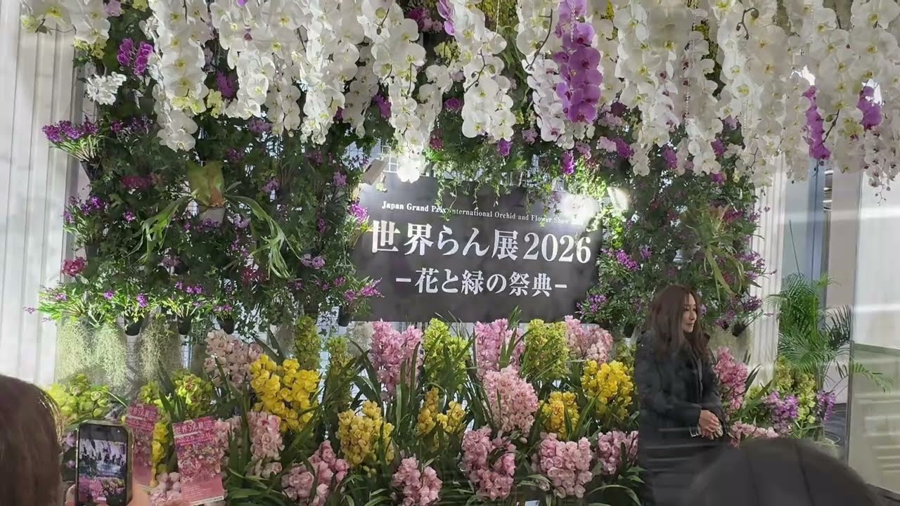 最終！50%オフ✴︎希少✴︎マーメイドフラワー✴︎アンダラク 2026 Japan Grand Prix International Orchids and Flower Show - YouTube