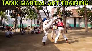 # Sunday fight tamo martial art #viralvideo #indianmartialarts #viral #shortvideo #karate #taekwondo