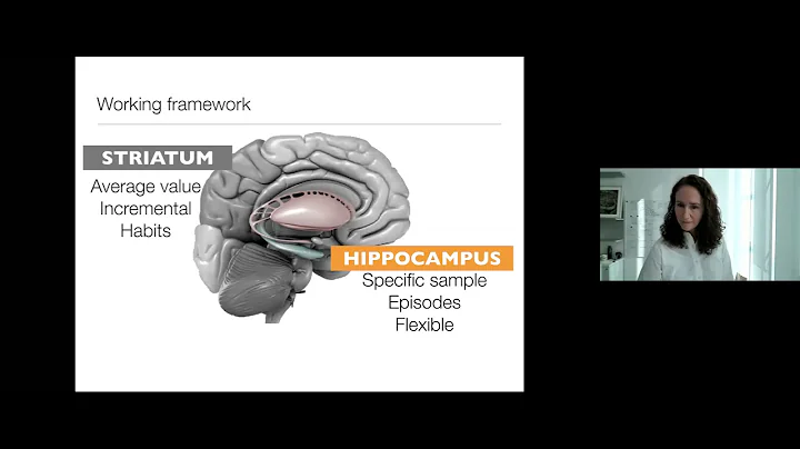 How Memory Guides Value-Based Decisions