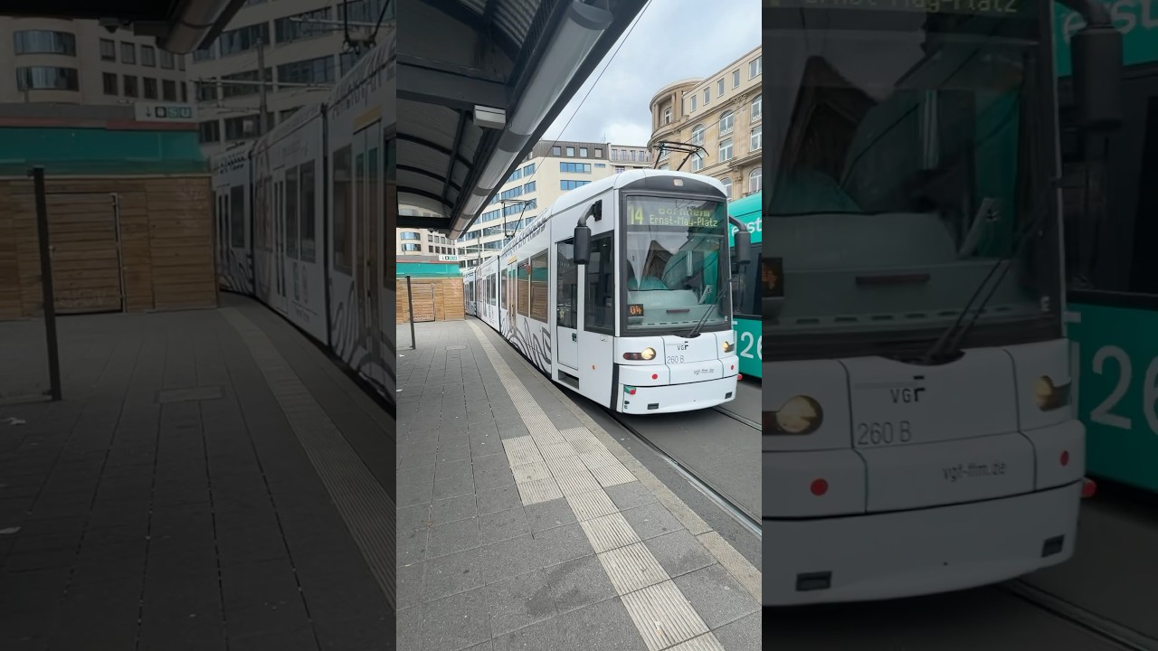 Straßenbahn Frankfurt Main Tram 260 Baureihe S der VGF Bombardier Flexity Classic 