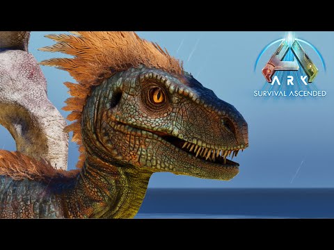 MAIS DINOS! Minha base foi atacada durante a noite I ARK Ascended Vanilla #10