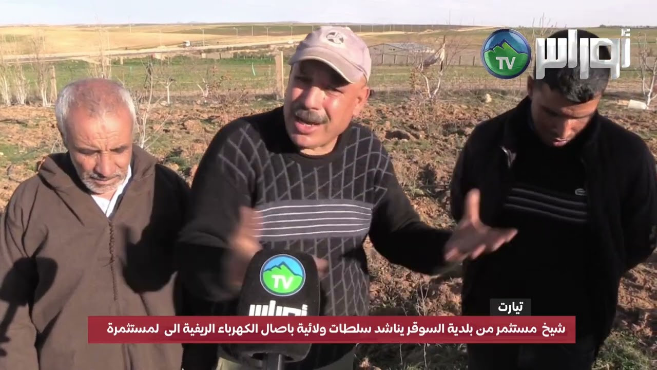 شيخ  مستثمر من بلدية السوقر يناشد سلطات ولائية باصال الكهرباء الريفية الى  لمستثمرة