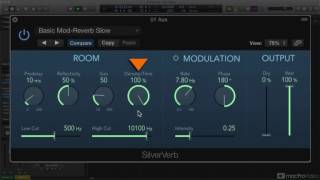 Logic Pro FastTrack 111: The DelayReverb Plugins - 8. SilverVerb