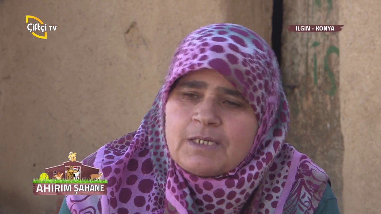 Ahırım Şahane-Ilgın Konya...