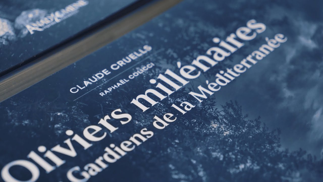 EP03 : Fabrication de l'ouvrage "Méditerranée Terroir Divin"