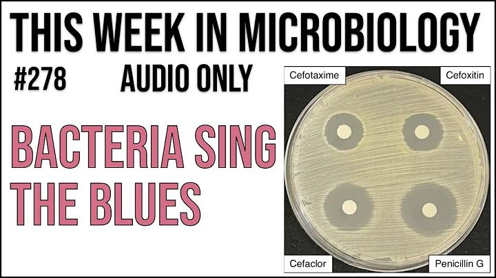 TWiM 278: Bacteria sing the blues