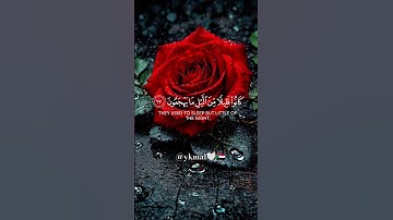 سورة الذاريات القارئ أحمد النفيس