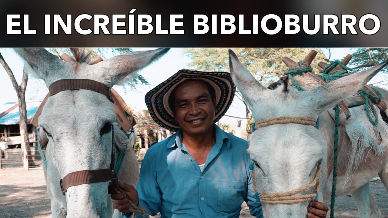 RS2 6 ES - EL INCREÍBLE BIBLIOBURRO