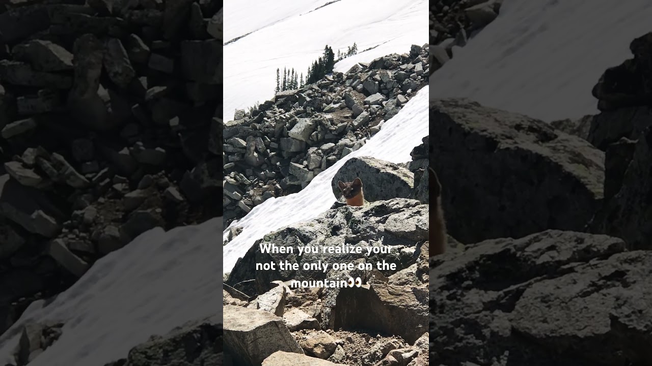 The Hills Have Eyes!👀 