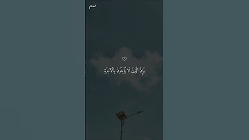 تلاوة هادئة تأخذك إلى عالم من الهدوء والسكينة بصوت الشيخ ماهر المعيقلي #ماهر_المعيقلي