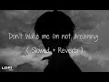 Don T Wake Me I M Not Dreaming Slowed And Reverb Lofimusic 