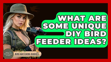 What Are Some Unique DIY Bird Feeder Ideas? - Bird Watching Diaries