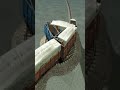 Crazy Massive Train Crossing Through Extreme Curved Tracks 💥🤯 BeamNG.Drive Train simulator 3D#shorts