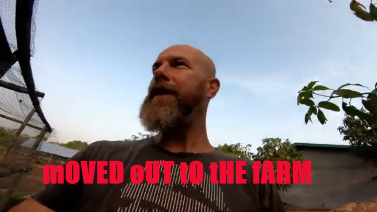 Moved Out To The Farm - Nipe Adventure - EP 64