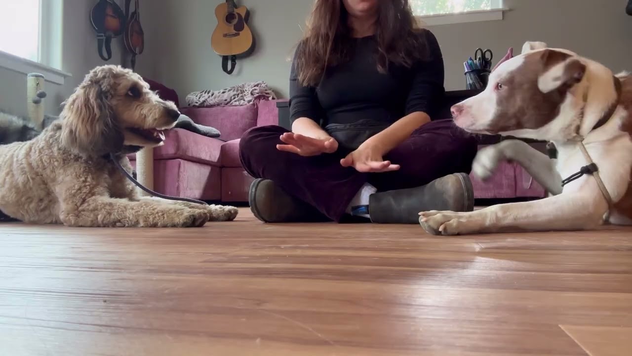 Self-Regulation Practice