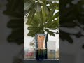 Lattafa Al Nashama Caprice – Bleu Électrique Dupe? 💥 #Lattafa #PerfumeReview #FragranceShorts