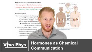 Endocrine System Purpose - Hormones as Chemical Communication
